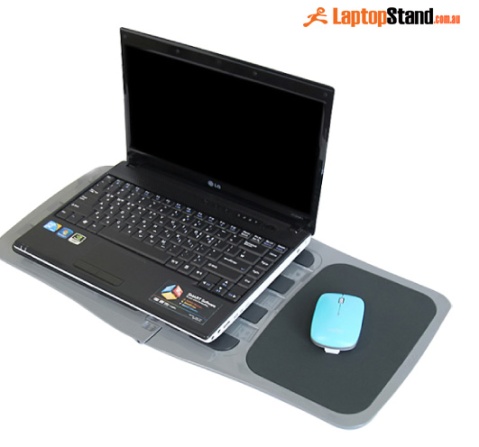 Portable Lap Desk by Defianz
